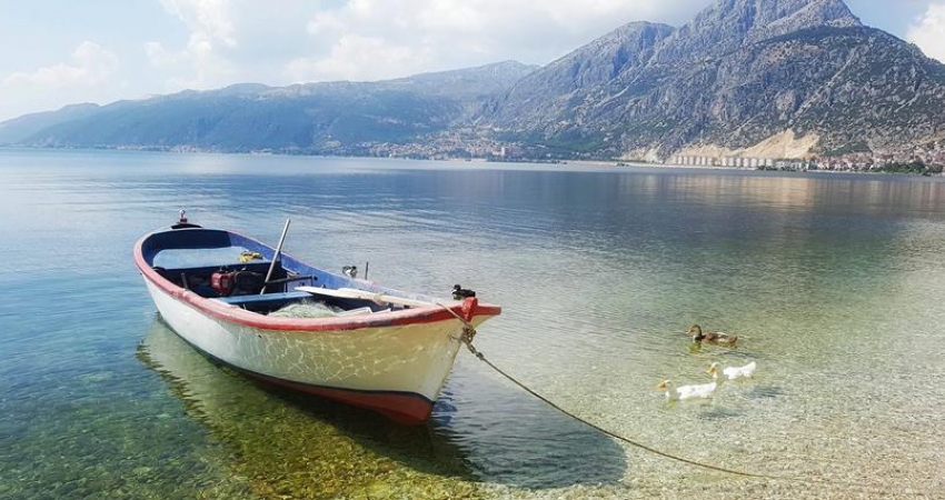 ISPARTA LAVANTA TURU
