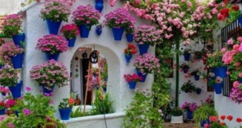 GÜNÜBİRLİK TİRE ÖDEMİŞ BİRGİ BOZDAĞ